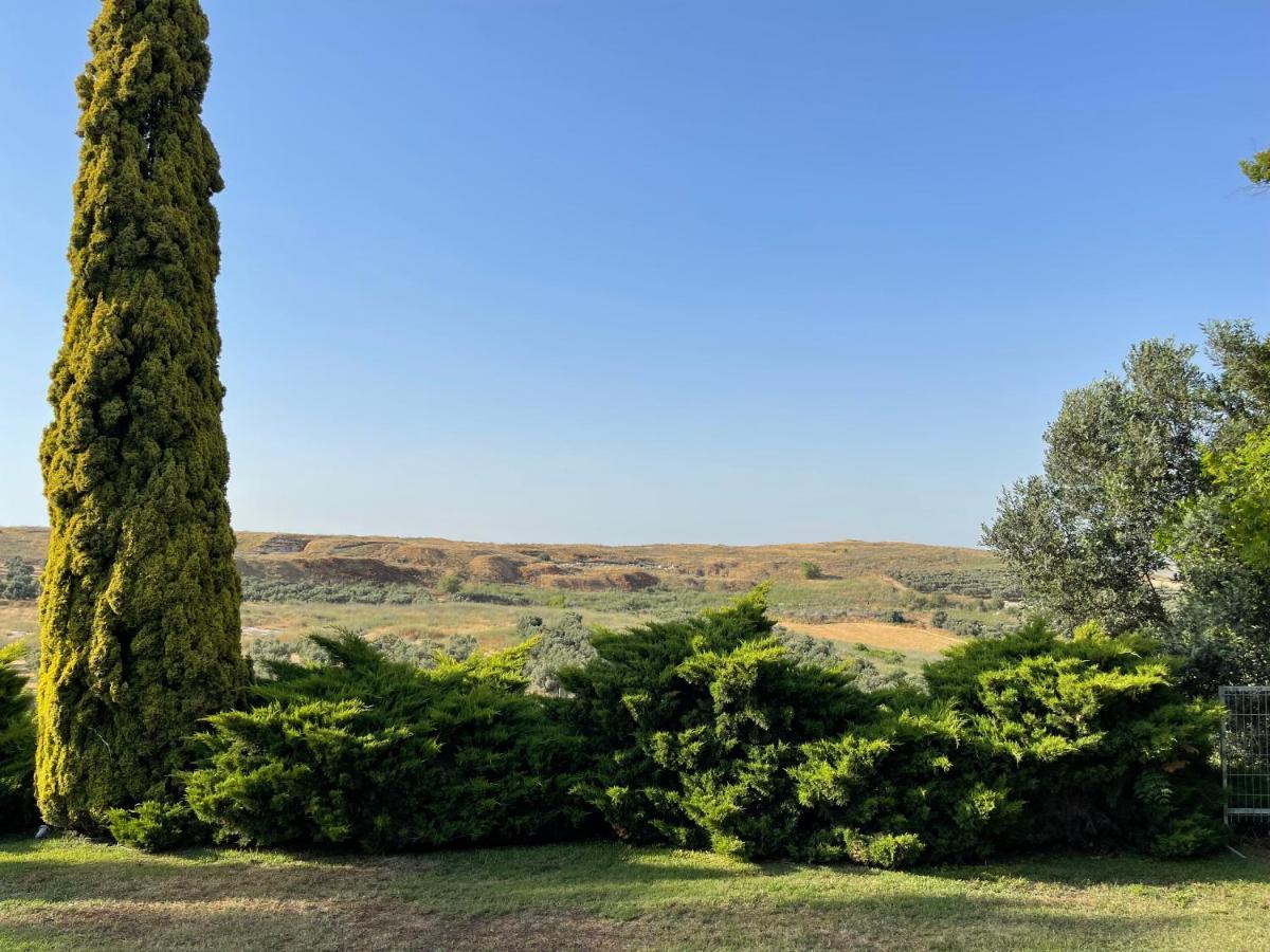 Villa Ba'Gefen Karmei Yosef Екстериор снимка